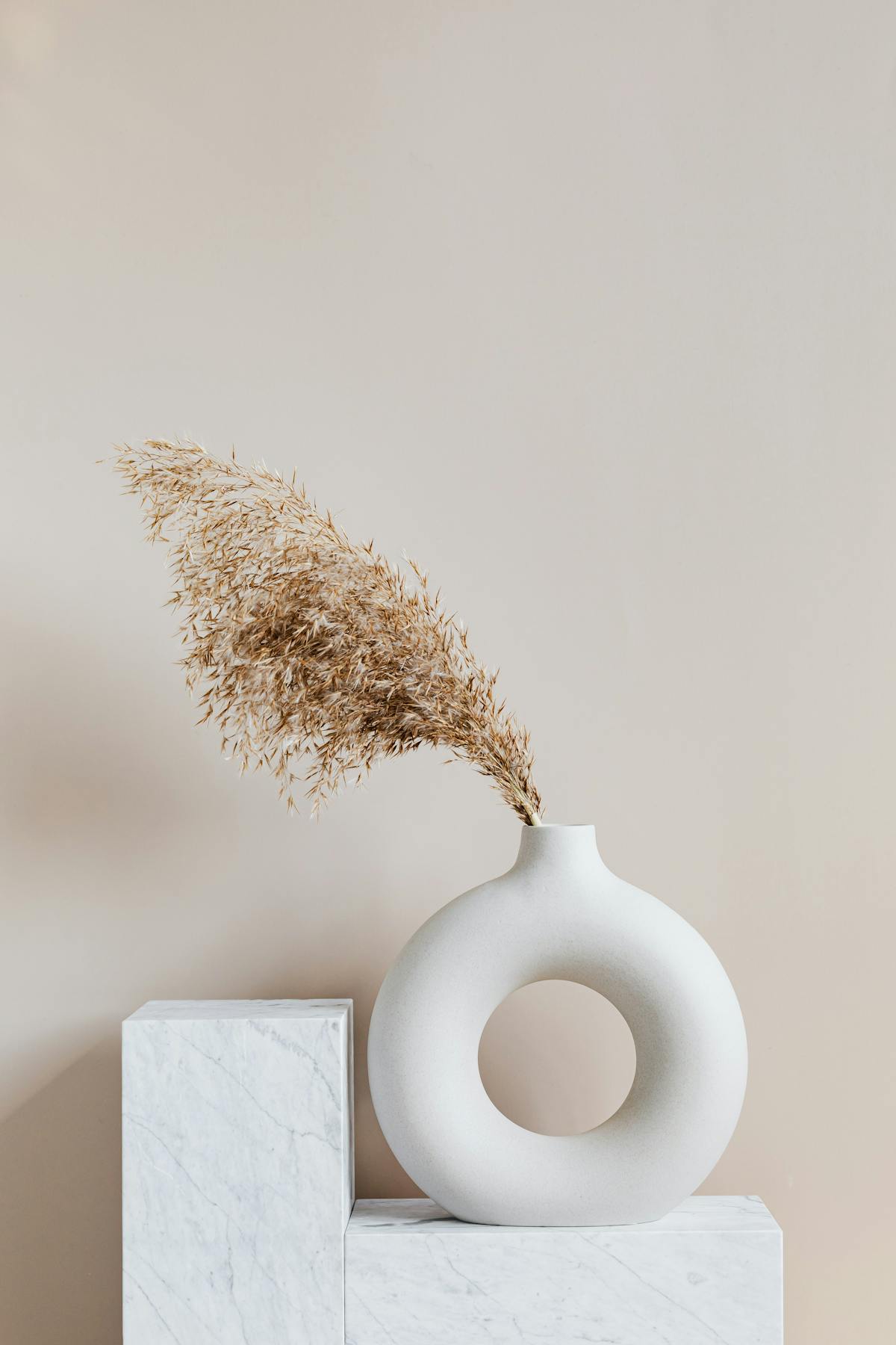 Ceramic Dinner Plate Set